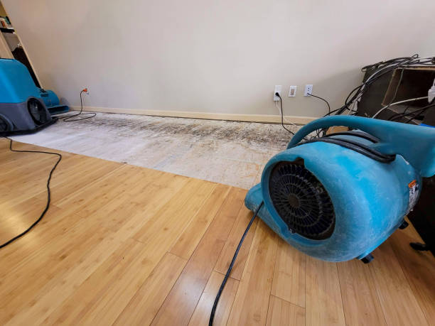 Professional Basement Flood Cleanup technician working in Clinton, MD